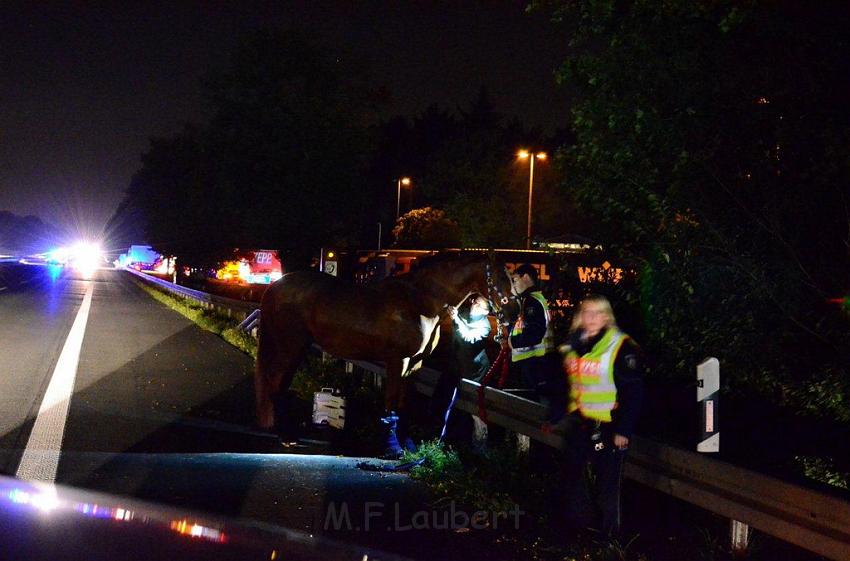 VU A3 Rich Koeln AS Lohmar Rastplatz Koenigsforst  P50.jpg